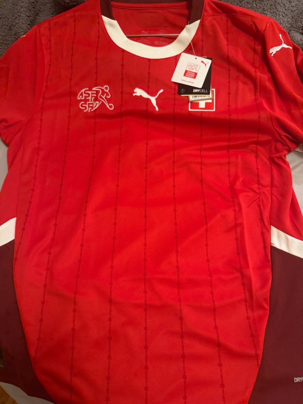 Puma Swiss Football Jersey